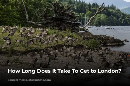 How Long Does It Take To Get to London?