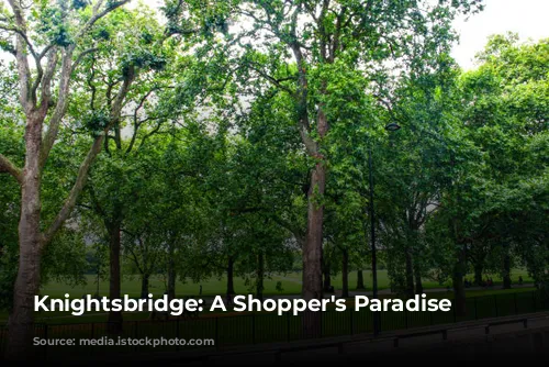 Knightsbridge: A Shopper's Paradise