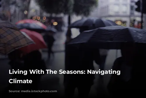 Living With The Seasons: Navigating London's Climate