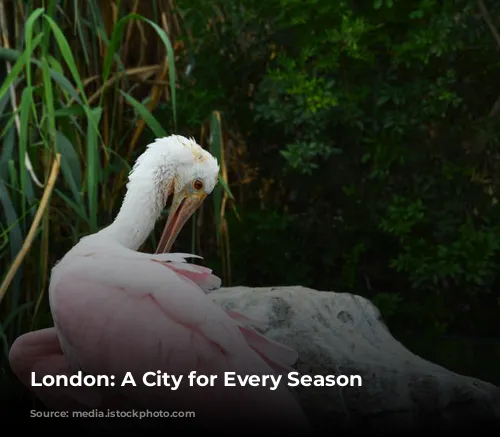 London:  A City for Every Season