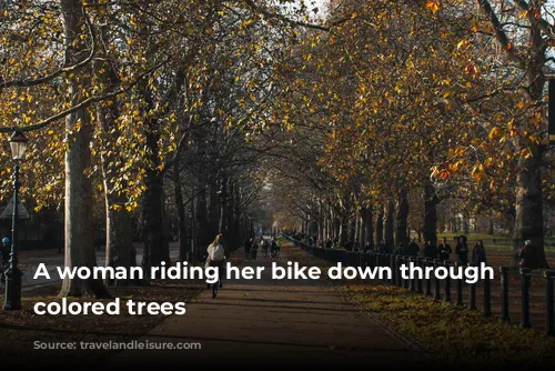 A woman riding her bike down through fall colored trees