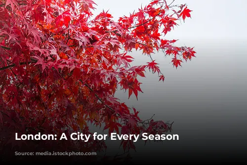 London: A City for Every Season