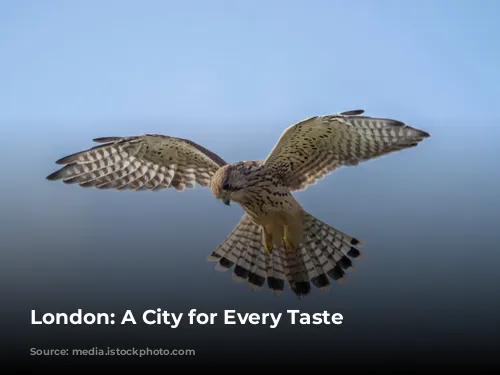 London: A City for Every Taste