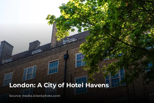 London: A City of Hotel Havens