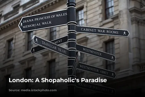 London: A Shopaholic's Paradise