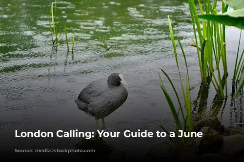 London Calling: Your Guide to a June Adventure