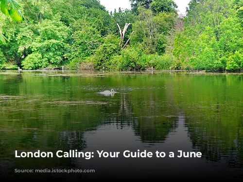 London Calling: Your Guide to a June Adventure