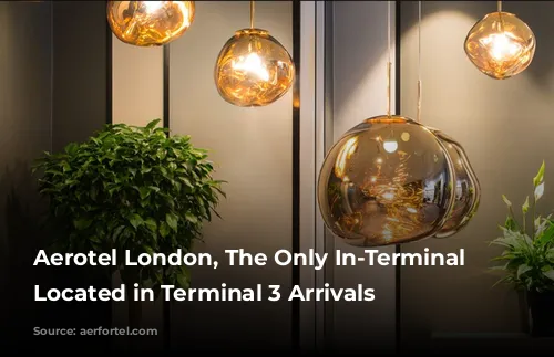 Aerotel London, The Only In-Terminal Hotel Located in Terminal 3 Arrivals