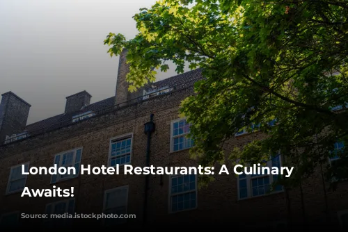 London Hotel Restaurants: A Culinary Adventure Awaits!