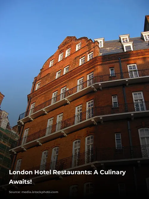 London Hotel Restaurants: A Culinary Adventure Awaits!