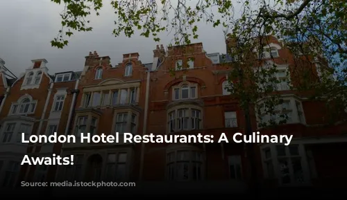 London Hotel Restaurants: A Culinary Adventure Awaits!