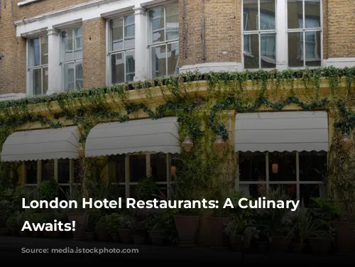 London Hotel Restaurants: A Culinary Adventure Awaits!