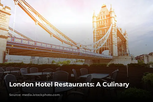 London Hotel Restaurants: A Culinary Journey