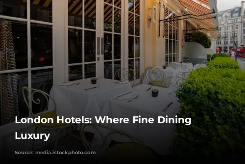 London Hotels: Where Fine Dining Meets Luxury