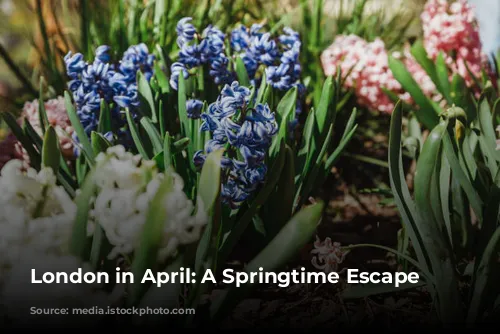 London in April: A Springtime Escape