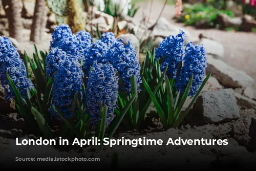 London in April: Springtime Adventures Await!