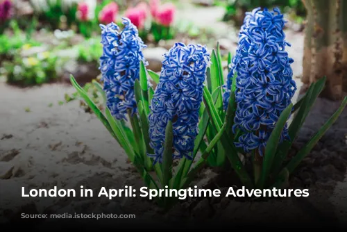 London in April: Springtime Adventures Await!