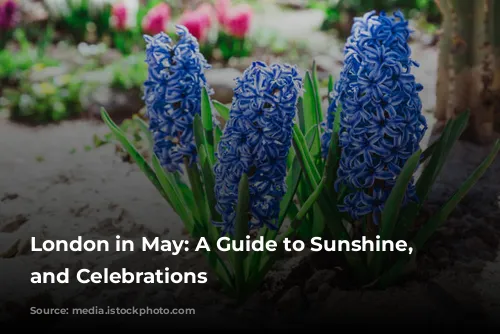 London in May: A Guide to Sunshine, Sights, and Celebrations