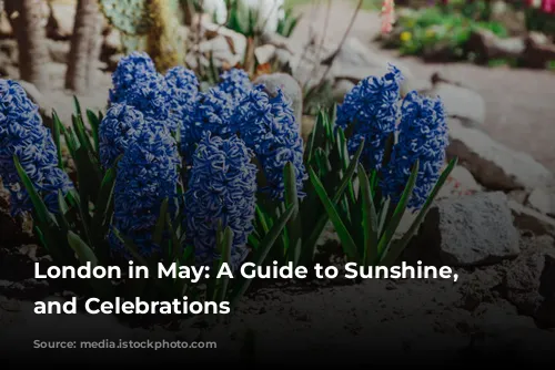 London in May: A Guide to Sunshine, Sights, and Celebrations