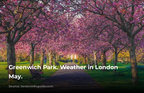 Greenwich Park. Weather in London in May.