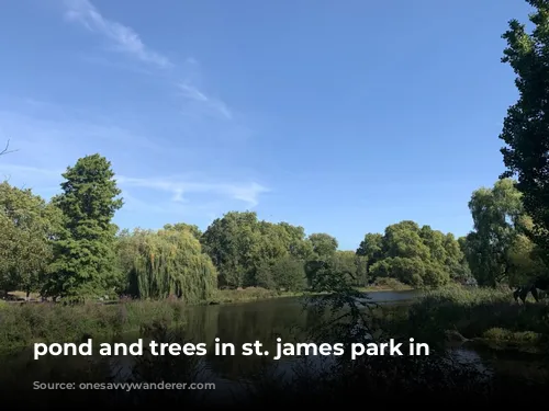 pond and trees in st. james park in london