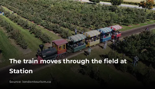 The train moves through the field at Appleland Station