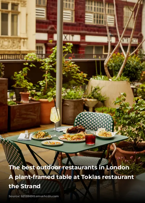 The best outdoor restaurants in London | A plant-framed table at Toklas restaurant in the Strand