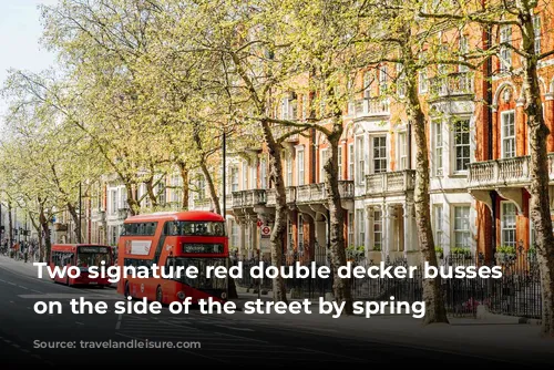 Two signature red double decker busses parked on the side of the street by spring trees