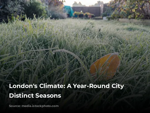 London's Climate: A Year-Round City With Distinct Seasons