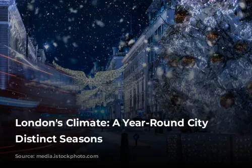 London's Climate: A Year-Round City With Distinct Seasons