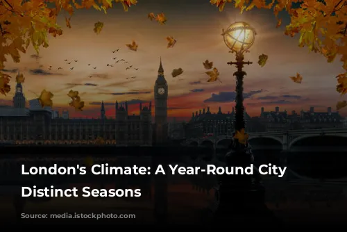 London's Climate: A Year-Round City With Distinct Seasons