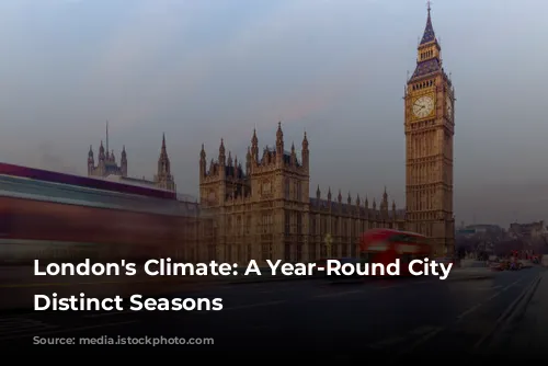 London's Climate: A Year-Round City With Distinct Seasons