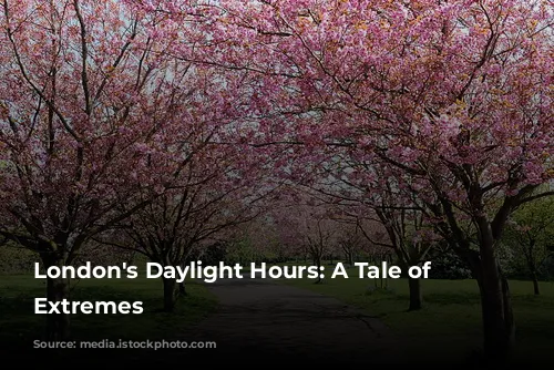 London's Daylight Hours: A Tale of Two Extremes