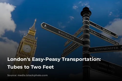 London's Easy-Peasy Transportation: From Tubes to Two Feet