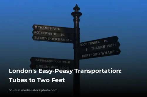 London's Easy-Peasy Transportation: From Tubes to Two Feet