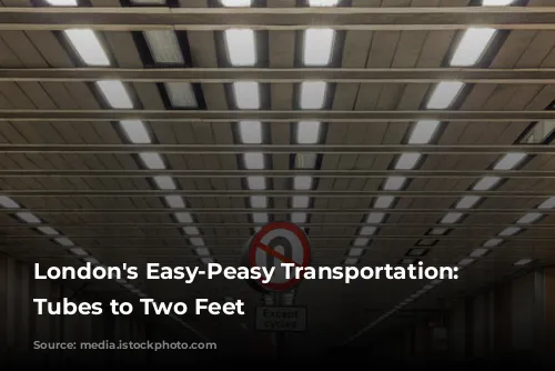 London's Easy-Peasy Transportation: From Tubes to Two Feet