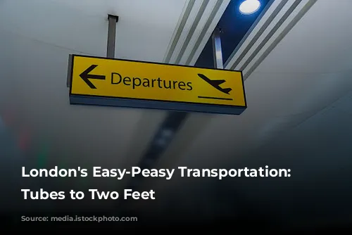 London's Easy-Peasy Transportation: From Tubes to Two Feet