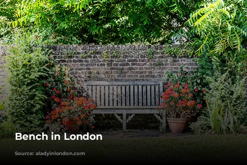 Bench in London