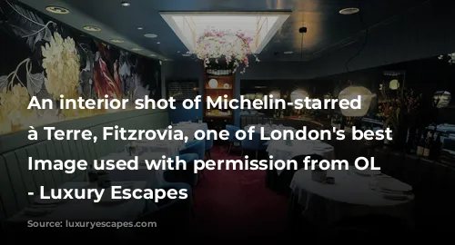 An interior shot of Michelin-starred Pied à Terre, Fitzrovia, one of London's best restaurants. Image used with permission from OL Visual. 
- Luxury Escapes