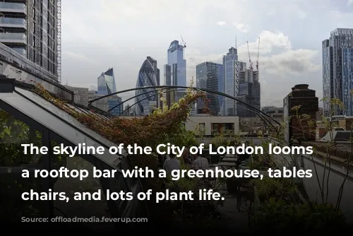 The skyline of the City of London looms over a rooftop bar with a greenhouse, tables and chairs, and lots of plant life.