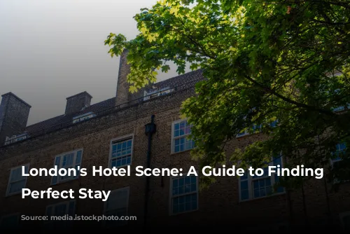 London's Hotel Scene: A Guide to Finding Your Perfect Stay