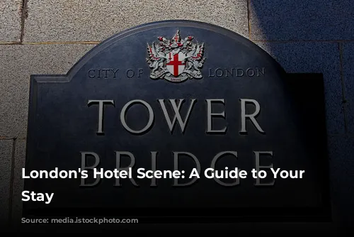 London's Hotel Scene: A Guide to Your Perfect Stay