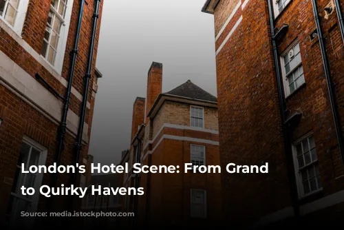 London's Hotel Scene: From Grand Dames to Quirky Havens