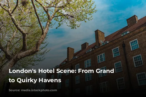 London's Hotel Scene: From Grand Dames to Quirky Havens