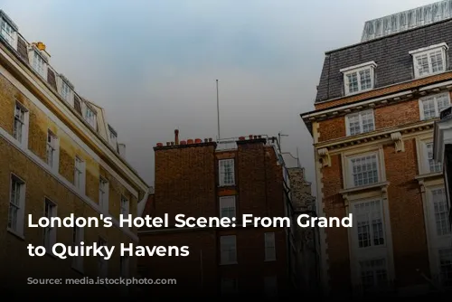 London's Hotel Scene: From Grand Dames to Quirky Havens