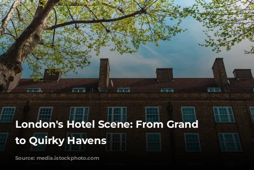 London's Hotel Scene: From Grand Dames to Quirky Havens