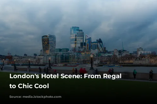 London's Hotel Scene: From Regal Charm to Chic Cool