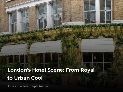 London's Hotel Scene: From Royal Charm to Urban Cool