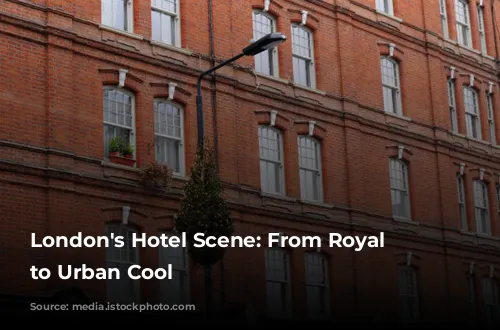 London's Hotel Scene: From Royal Charm to Urban Cool