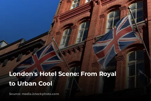 London's Hotel Scene: From Royal Charm to Urban Cool